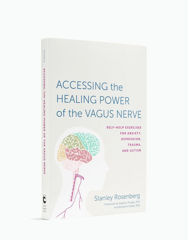 Accessing the Healing Power of the Vagus Nerve Book