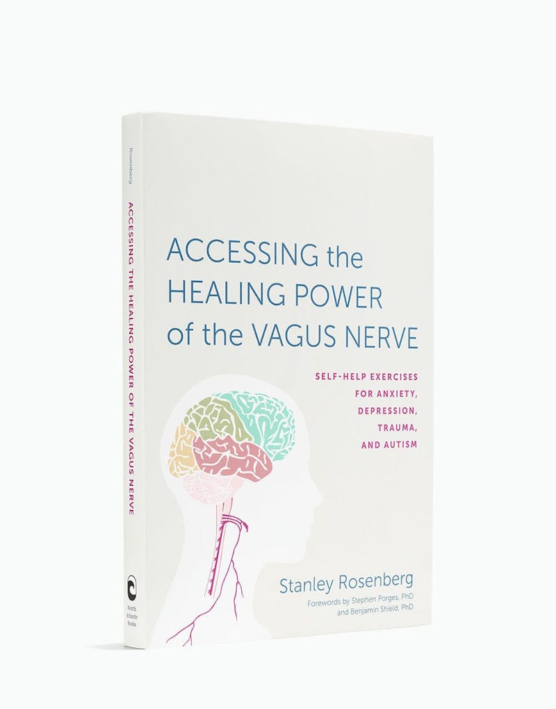 Accessing the Healing Power of the Vagus Nerve Book