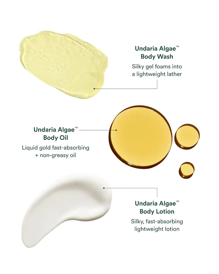 Product display of Undaria Algae Body Wash, Body Oil, and Body Lotion with labeled features.