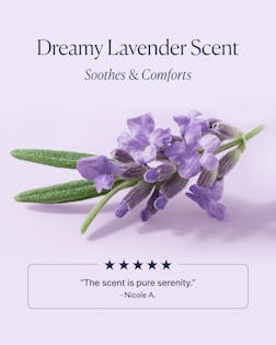 Lavender flower with text 'Dreamy Lavender Scent' and a five-star rating on a light purple background.