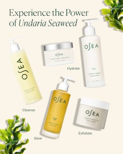Undaria Algae™ Body Butter