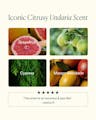 Iconic citrus Undaria scent profile featuring grapefruit, lime, cypress, and mango-mandarin