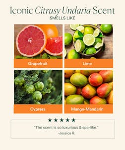 Undaria Algae™ Body Butter