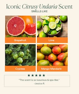 Undaria Algae™ Body Butter