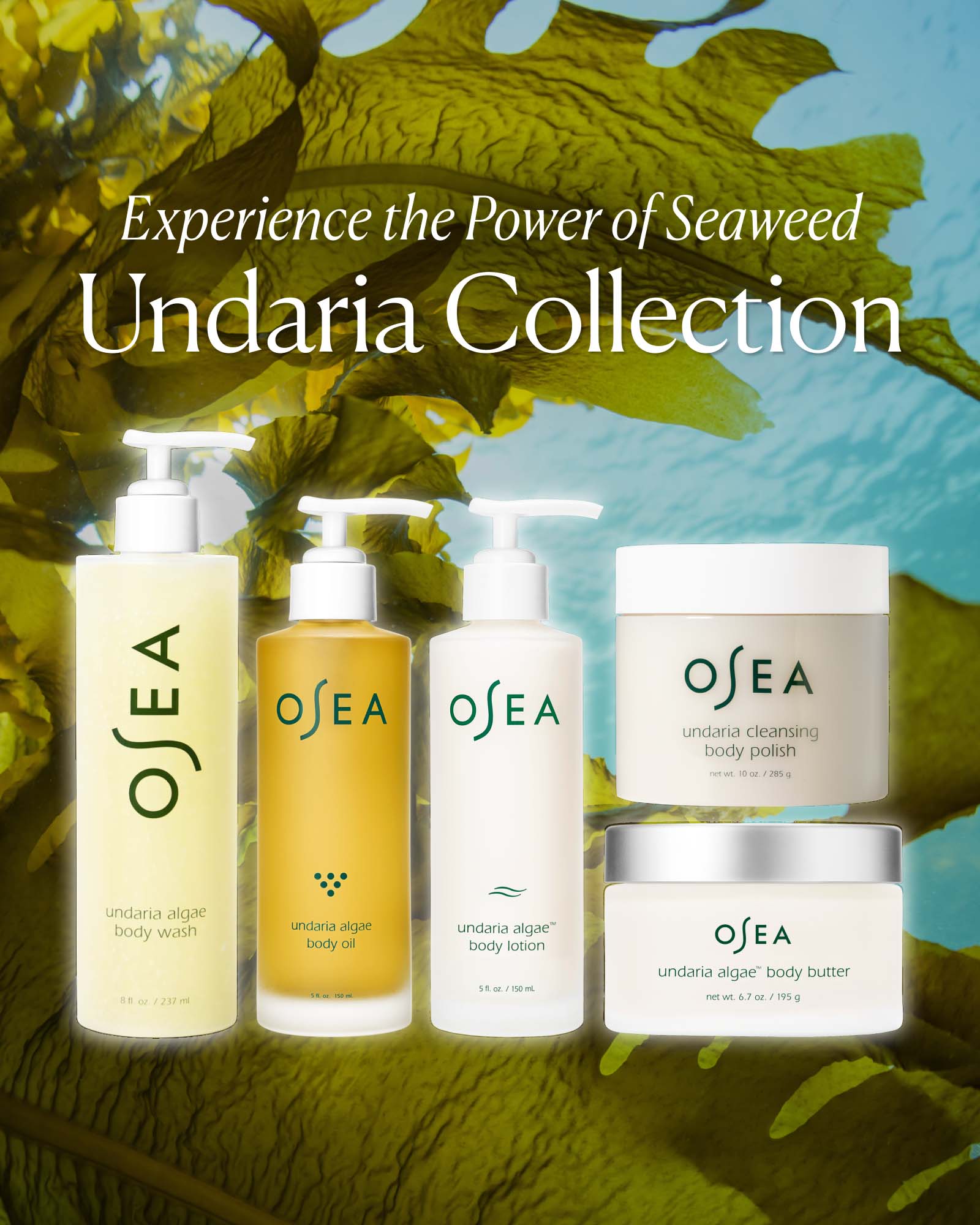 Undaria Algae™ Body Wash