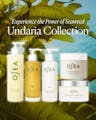 Undaria Collection body care lineup featuring body wash, body oil, lotion, polish, and body butter