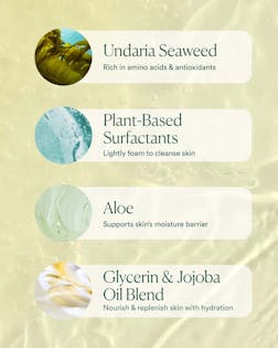 Undaria Algae™ Body Wash