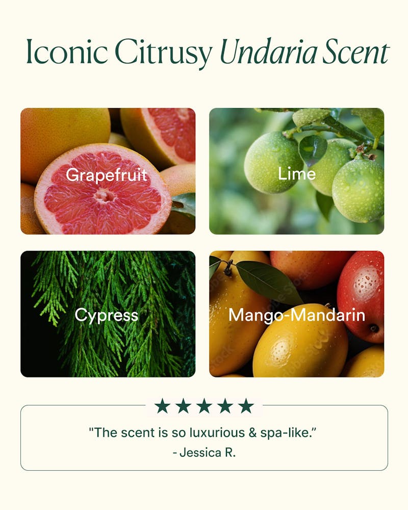 Undaria Algae™ Body Wash