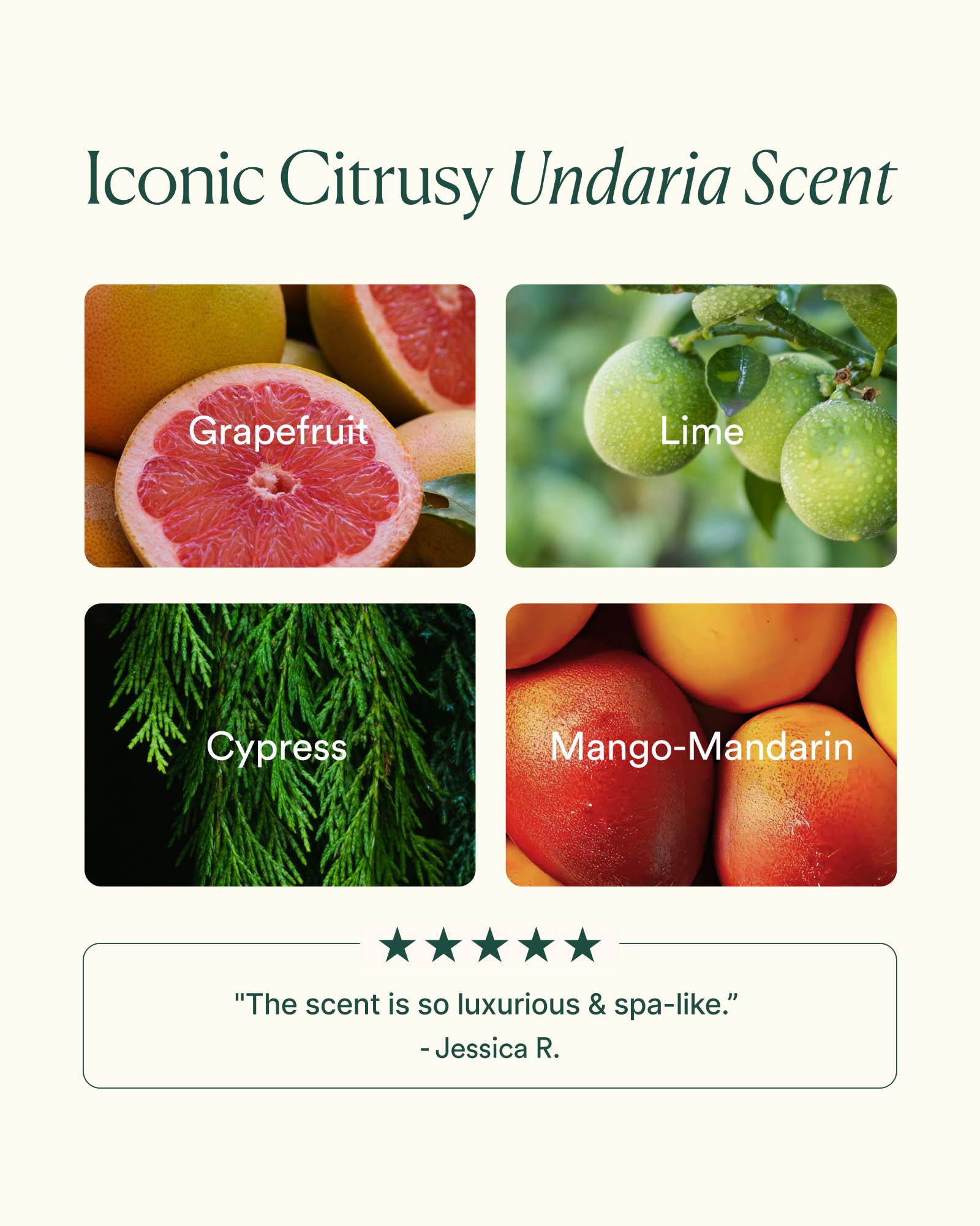 Undaria Algae® Body Oil | Non-Greasy Moisturizing Oil | Clean Body