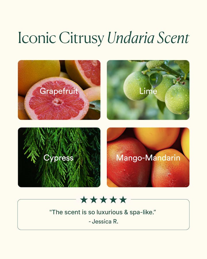 Undaria Algae Body Oil | Non-Greasy Moisturizing Oil | Clean Body Oil OSEA Malibu Undaria Algae Body Oil | Non-Greasy Moisturizing Oil | Clean Body Oil OSEA Malibu