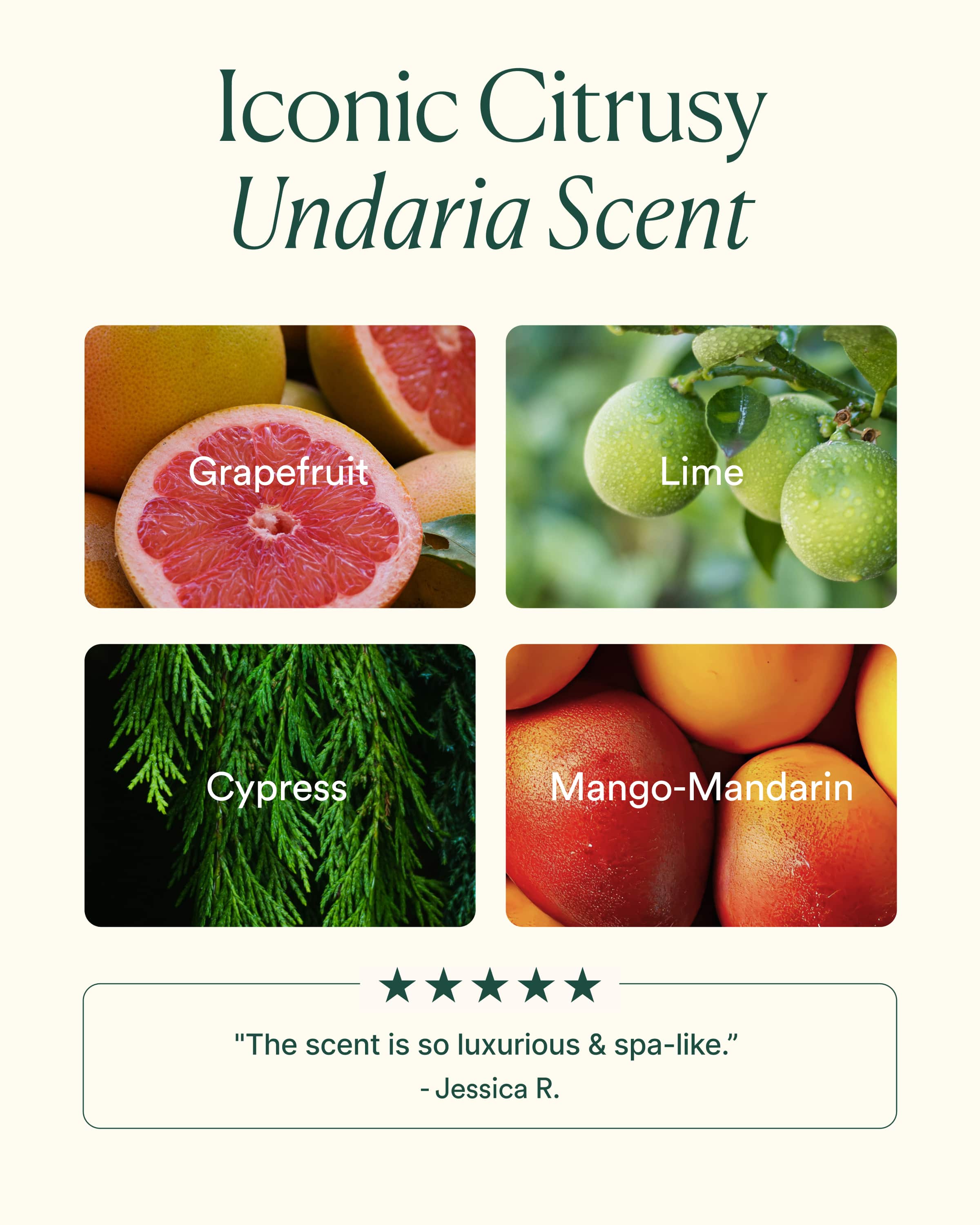 Mega Moisture Duo | Undaria Algae™ Body Lotion & Undaria Algae