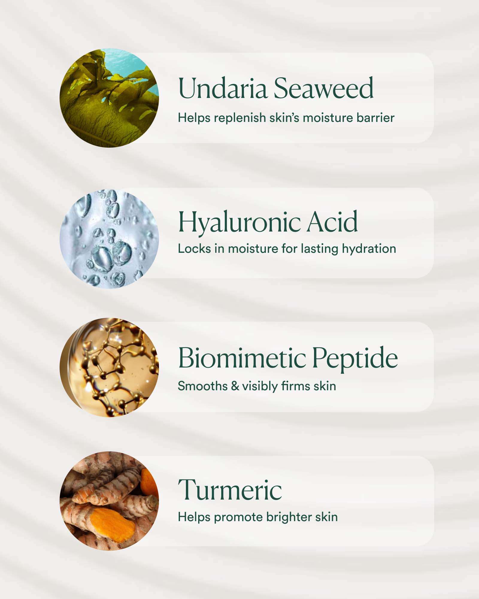 Undaria Algae™ Body Lotion