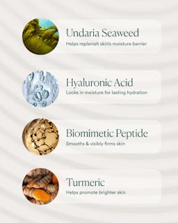 Undaria Algae™ Body Lotion