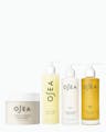 Undaria body care lineup featuring Cleansing Body Polish, Algae Body Wash, Collagen Body Lotion, and Algae Body Oil