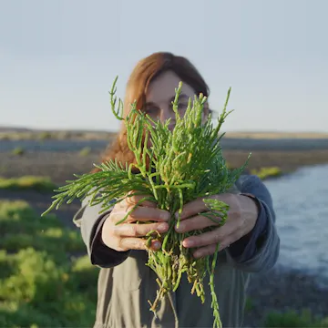 Woman Holding A Plant