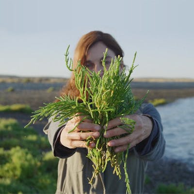 Woman Holding A Plant