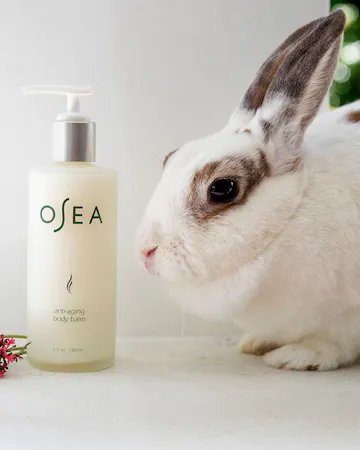 A Rabbit Next To A Bottle Of OSEA Body Lotion