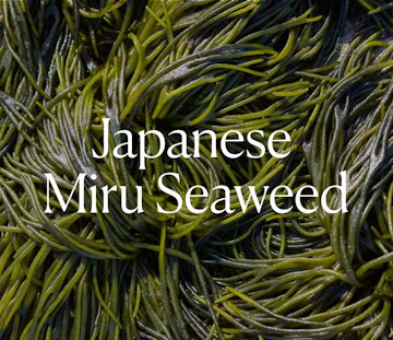 Japanese Miru Seaweed